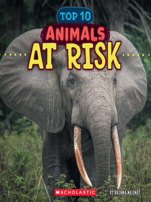 cover image of Animals at Risk